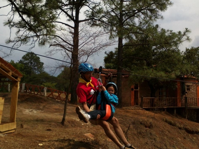  Zip lines for children 